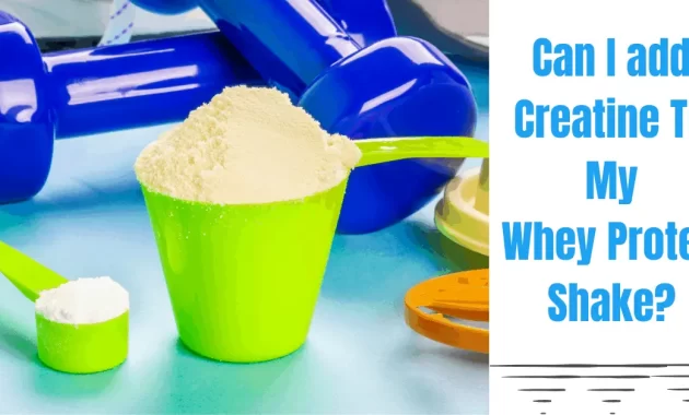 Can We Take Creatine and Whey Protein Together?