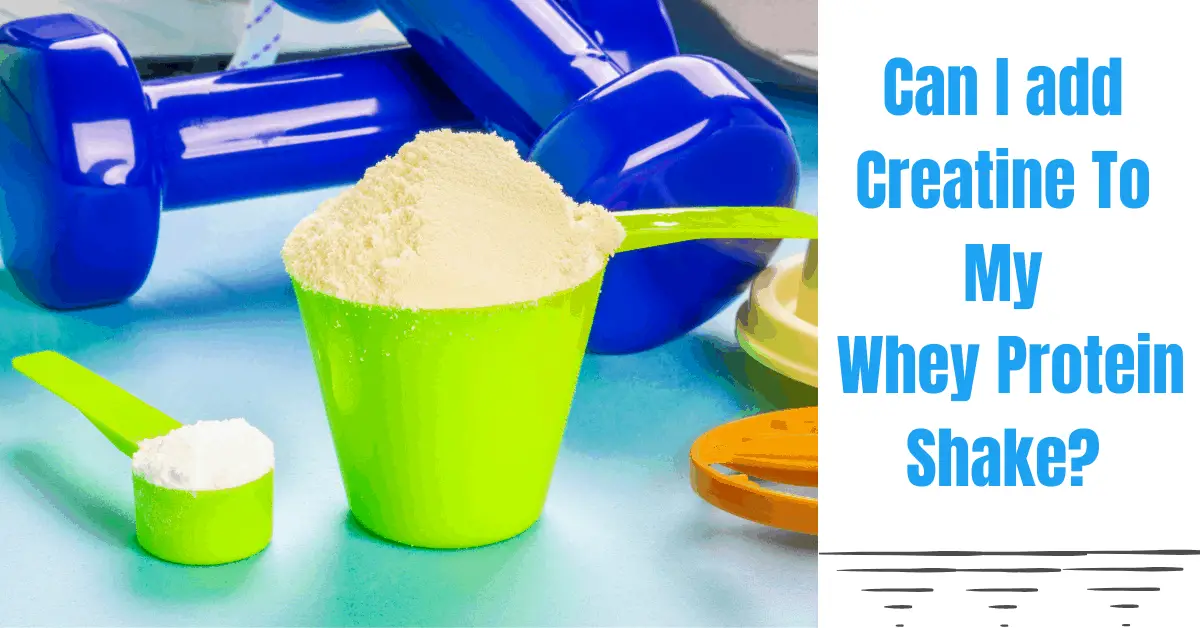 Can We Take Creatine and Whey Protein Together? [2024]