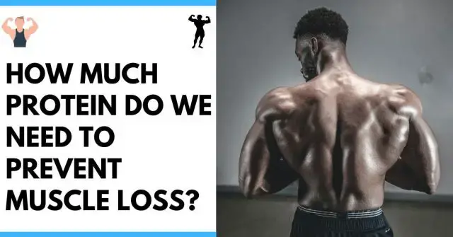 How Much Protein Do You Actually Need To Prevent Muscle Loss? [2024]