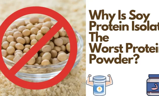 Why Is Soy Protein Isolate The Worst Protein Powder for Men?